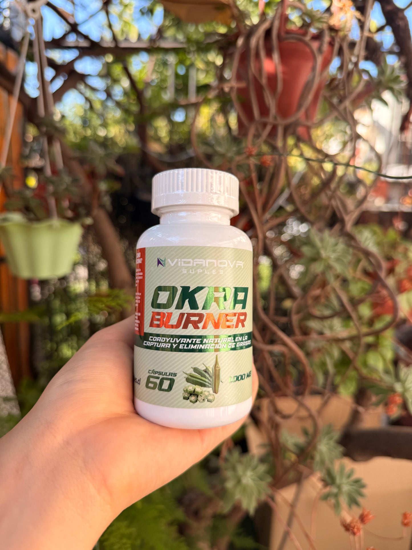 ✨🌞OKRA BURNER 1000MG 60CAPS✨🌞